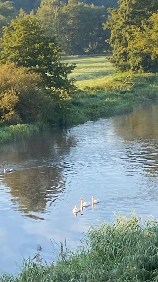 Idyllische Ferienwohnungen In Mossendorf Blick Zur Naab Бургленгенфелд Екстериор снимка